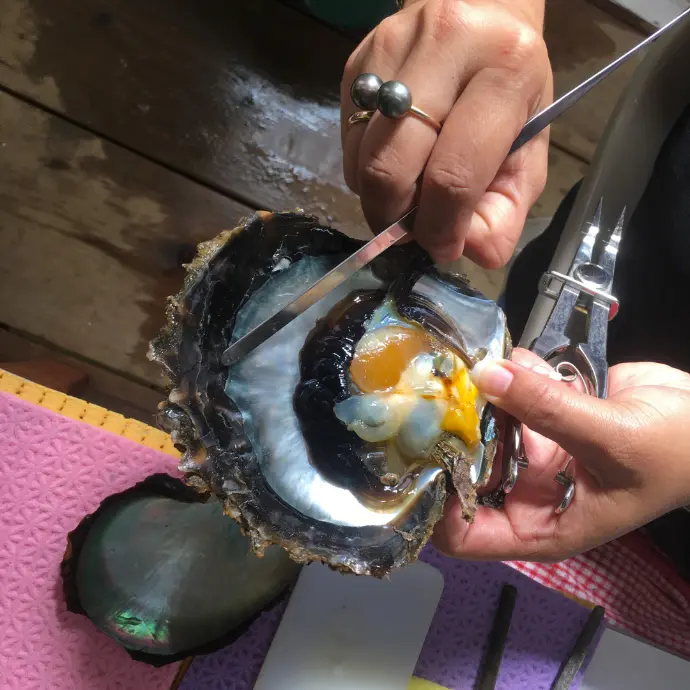 ferme perliere perle de tahiti tahaa