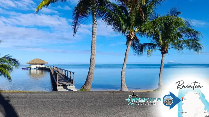 Départ direct depuis l'hôtel pour nos clients séjournant au Raiatea Lodge Point d'embarquement Raiatea Explorer au ponton de l'Hôtel Raiatea Lodge