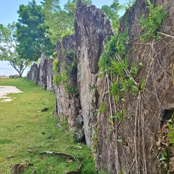 Marae Tainuu à Tevaitoa, site historique de Raiatea lié à la légende du lézard géant