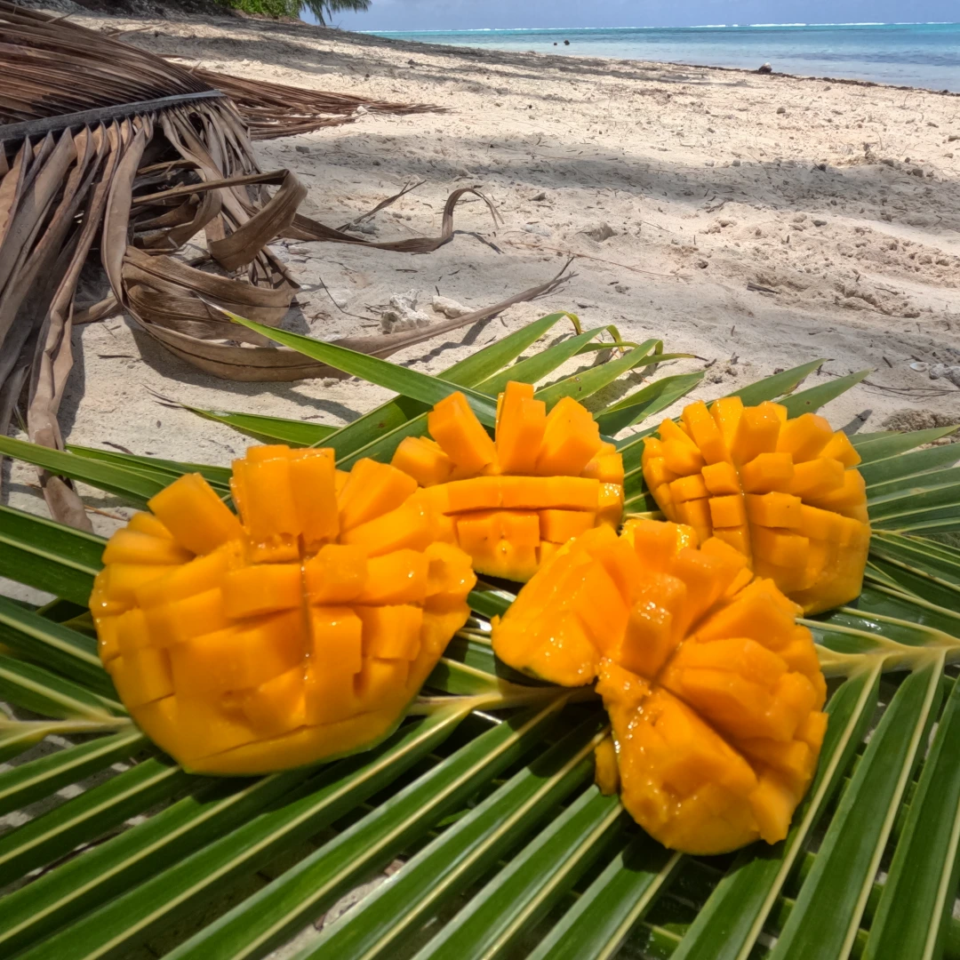 Dégustation de fruits tropicaux frais lors de notre escale gourmande sur le motu Dégustation de fruits tropicaux frais lors de notre escale gourmande sur le motu