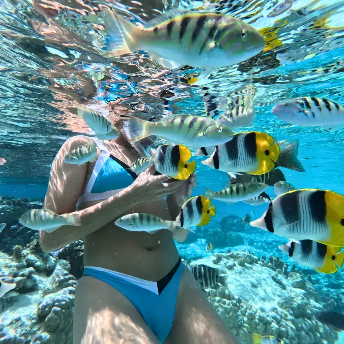 Snorkeling jardin de corail Tahaa poissons tropicaux