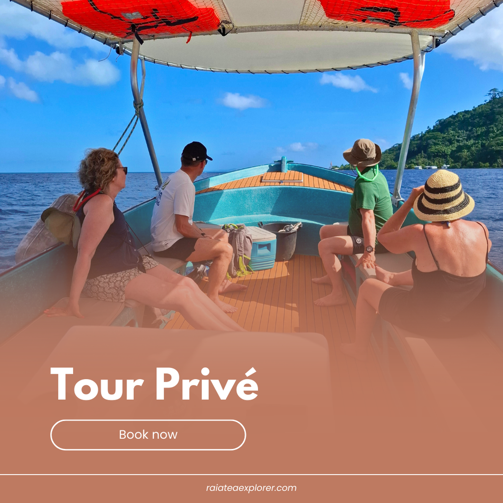 Tour Privé Bateau