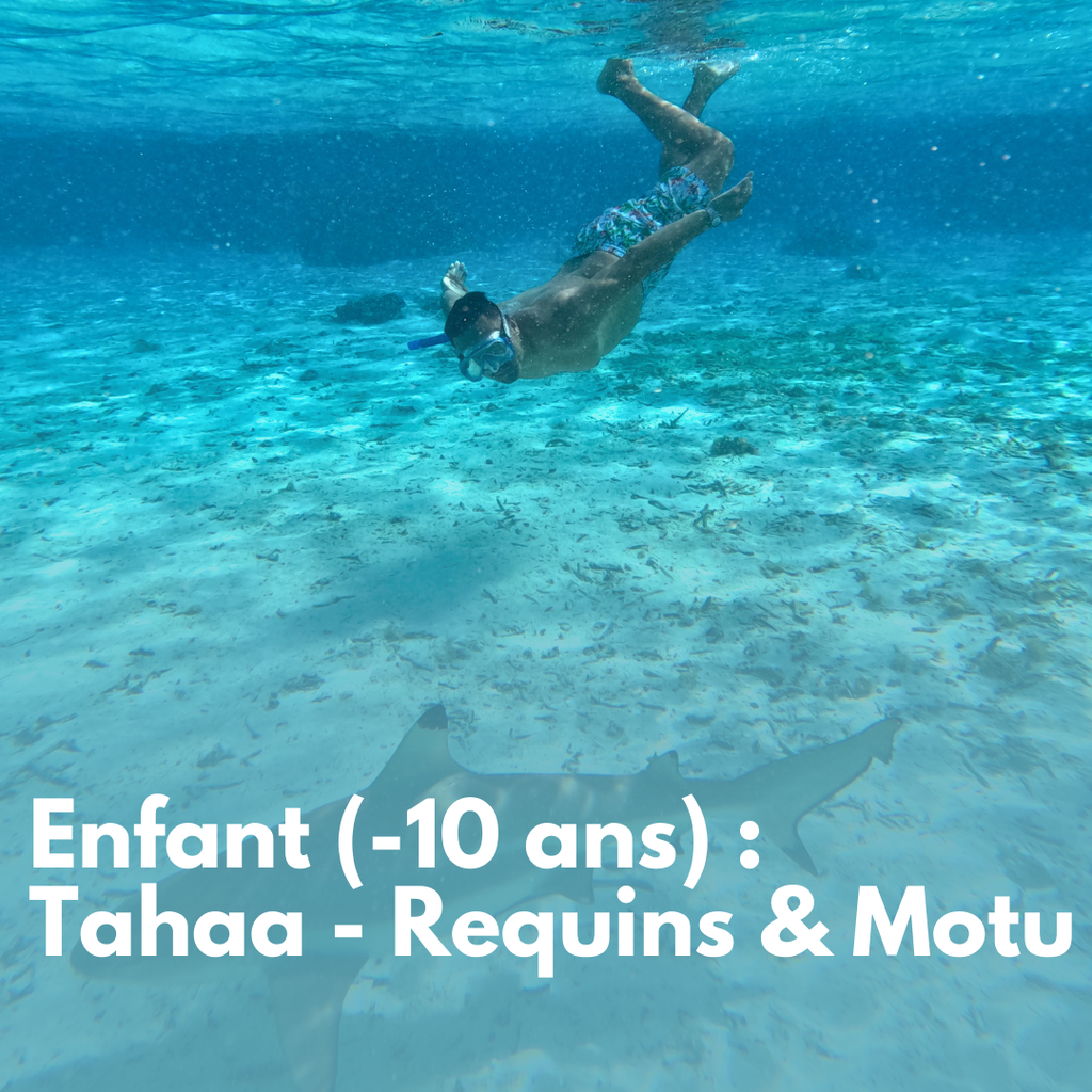 Children (under 10): Tahaa - Sharks & Motu