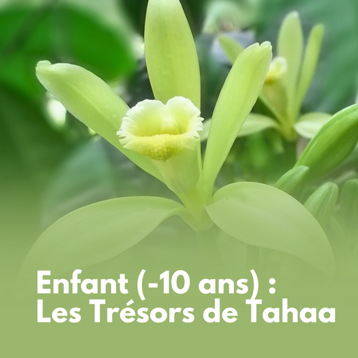 Enfant (-10 ans) : Les Trésors de Tahaa