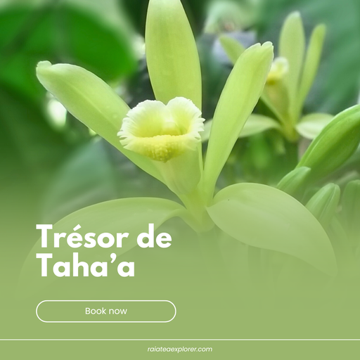 Tahaa Treasures Excursion (Full Day)